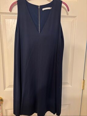 Alice + Olivia Navy Sleeveless V-Neck Shift Dress